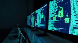 monitor screens