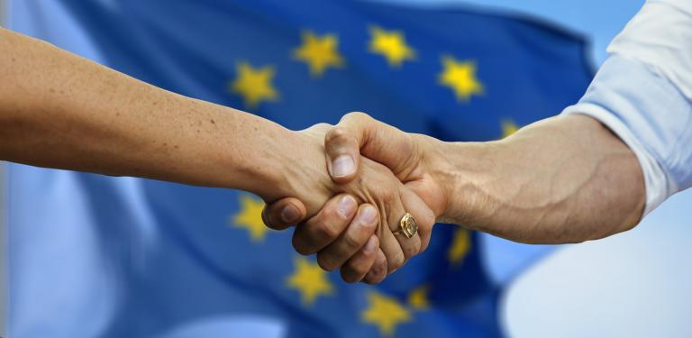 handshake EU flag