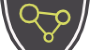 Shield with "SECURE"-logo